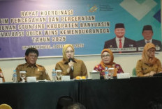 Banyuasin Evaluasi Mendalam Quick Wins Kemendukbangga 2025