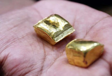Harga Emas Dunia Berpotensi Tembus 4.000 Dolar AS/Troy Ounce