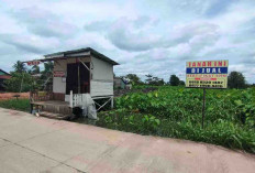 Rawa di Rejung Sako Ditimbun