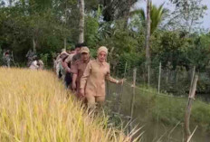 Pemkab Lahat Gerak Cepat Cegah Gagal Panen di Desa Pakah Salak