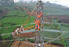 Peningkatan Pendapatan Antarkan PLN Masuk Jajaran Fortune Global 500