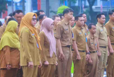 Gubernur Sumsel Apresiasi Kinerja dan Disiplin ASN