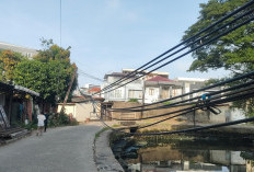 Kabel Internet Menyuntai 