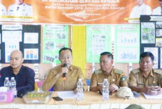 Sekda Elman Tinjau Tapal Batas di Gunung Kemala