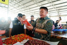 Pacu Ekonomi di Gandus, Gubernur Resmikan Pasar Modern Grand Citra Mandiri 