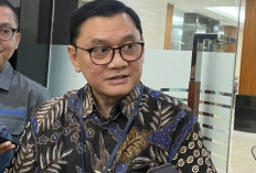 BI: Cadangan Devisa Mei 2025 Stabil