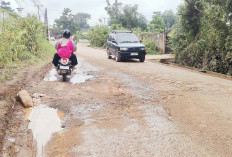 Dampak Hujan dan Truk Angkutan Tanah, Jalan Tanjung Aur Banyak Rusak