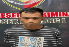 Buron 5 Tahun Apes Saat Kembali ke Rumah
