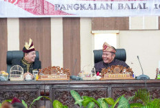 Gubernur Puji Capaian Banyuasin Lumbung Pangan Nasional