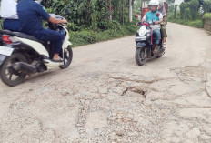 Lubang Besar di Jalan Gogokan Kito Talang Kepuh