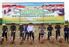 Dukung Ketahanan Pangan, Tanam Benih Jagung 1,5 Ha