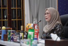 Feby Deru Masuk 10 Besar DPD Award 2025, Apresiasi untuk Pemberdayan Ekonomi Kreatif di Susmel