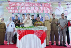 Banyuasin Tasyakuran Swasembada Pangan Peringkat I Nasional, Peningkatan Produksi Beras