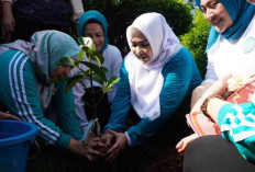 Kampanyekan 10 Program Pokok melalui Gerakan Tanam Cabai
