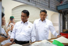 Mentan Minta Jangan Politisasi Sektor Pangan