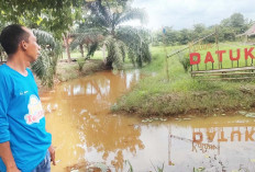Kolam Datuk Cocok Untuk Liburan Bersama Keluarga dan Kolega