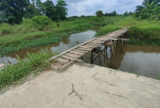 Kokoh,  Jerambah Kayu Penghubung Tanjung Barangan Menuju Lubuk Bakung 