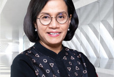 2025, Sri Mulyani Targetkan Pertumbuhan Investasi 5,9 Persen 