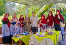 Dewan Sumsel Minta WE GENPRO OI Tingkatkan Diproduksi 