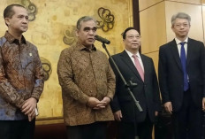 Kementrans Sebut Ri Berpotensi Pasok 3 Miliar Butir Kelapa ke China
