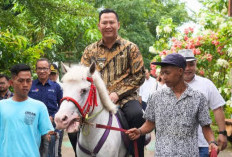 Bupati Muara Enim, H. Henky Putrawan,Luncurkan Plumeria Eco Park