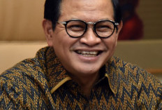 PDIP: Pramono Anung-Rano Karno Daftar Jam 11 Besok ke KPUD