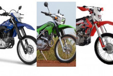 Ini Lho Motor Trail Terbaik 2025