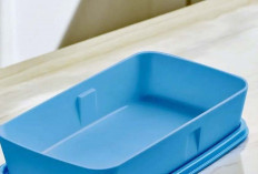 Akhirnya Bisnis Tupperware di Indonesia Resmi di Stop