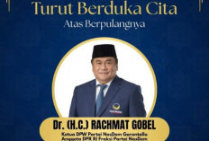 Kabar Duka: Anggota DPR RI Fraksi NasDem Rachmat Gobel Meninggal Dunia