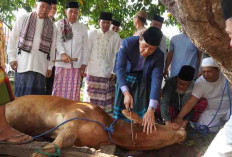 Berkurban dengan Ramah Lingkungan