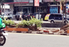 Taman Pembatas Jalan Depan SMA 3 Palembang Rusak