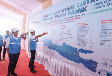 Wamen BUMN Cek Langsung Kesiapan SPKLU PLN Layani Kebutuhan Nataru