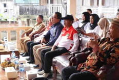  PLN UIP Sumsel Gelar Pelatihan di Bidang Pertanian Berkelanjutan