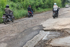 Wow! Waspada Besi Beton Rumah Rusak Terkikis Jalanan