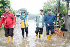 Pesan Ratu Dewa : Pejabat Dinas Jangan Tidur Dulu Waspada Musim Hujan ini, Bersama-sama Tinjau Lokasi Banjir