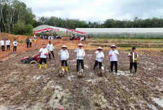 Banyuasin Naik 3 Besar Penghasil Pangan Nasional