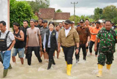 Gubernur Herman Deru Tinjau Banjir di Belitang II