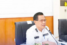 Pastikan Pembangunan Oprit Jembatan Empat Petulai Dangku Terealisasi