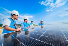 RUPTL PLN 2025-2034 Siap Buka Keran Investasi Swasta