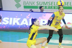 Petrokimia ke Final Four, Berkat Kekelahan Livin' Atas Bandung BJB