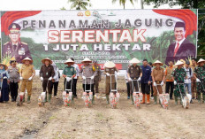 Wujudkan Swasembada Pangan Polres OKU Timur Tanam Jagung 1 Juta Ha