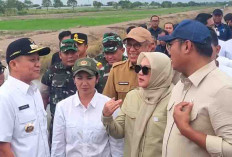 2025, Program Cetak Sawah Baru Dilanjutkan