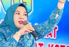 Lidyawati Cik Ujang Ikut Pilkada Muara Enim