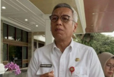  4.000 Hektare Sawah di Sumsel Siap Panen Meski Terdampak Banjir