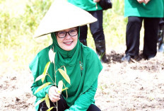 Peduli Lingkungan, Korem 044/Gapo dan Persit Tanam Ratusan Bibit Pohon