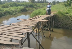 Jembatan Kayu Penghubung Dua Jalan Mulai Goyang 