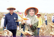 Tingkatkan Produksi Komoditas Strategis