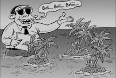 Waduh Gawat!  4 Pulau di Indonesia  Dijual Online, Apa penjelasan Kementerian Kelautan dan Perikanan?
