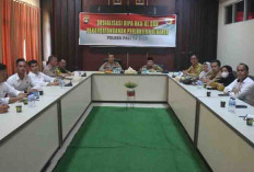 PALI Siap Tanam Jagung Serentak, Siapkan Lahan 6 Ribu Ha