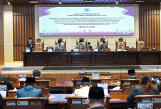 Wagub Cik Ujang Tekankan Dampak Nyata bagi Kesejahteraan Rakyat, Raperda Sumsel Energi Gemilang Dibahas